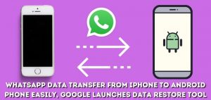 WhatsApp Data Transfer From iPhone To Android Phone Easily, Google Launches Data Restore Tool