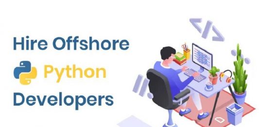 Qualities Of Offshore Developers Knowing Python