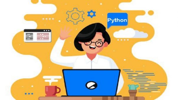 Python Developer Looked By Hiring Managers
