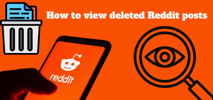 How to view deleted Reddit posts